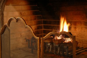 Fireplace Grate - Shreveport LA - New Buck Chimney