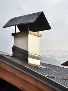 Chimney Swifts Are Federally Protected - Keep Them Out With A Chimney Cap - Shreveport LA - New Buck Chimney services