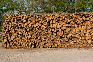 Are Your Covering Your Firewood - Shreveport LA - New Buck Chimney Services
