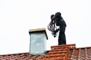 What Are Chimney Swifts - Shreveport LA - New Buck Chimney Services