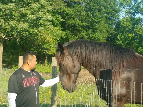 Man Petting a brown Horse